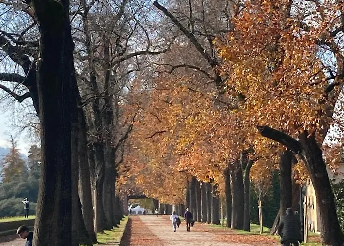 Lejlighed Teddy House